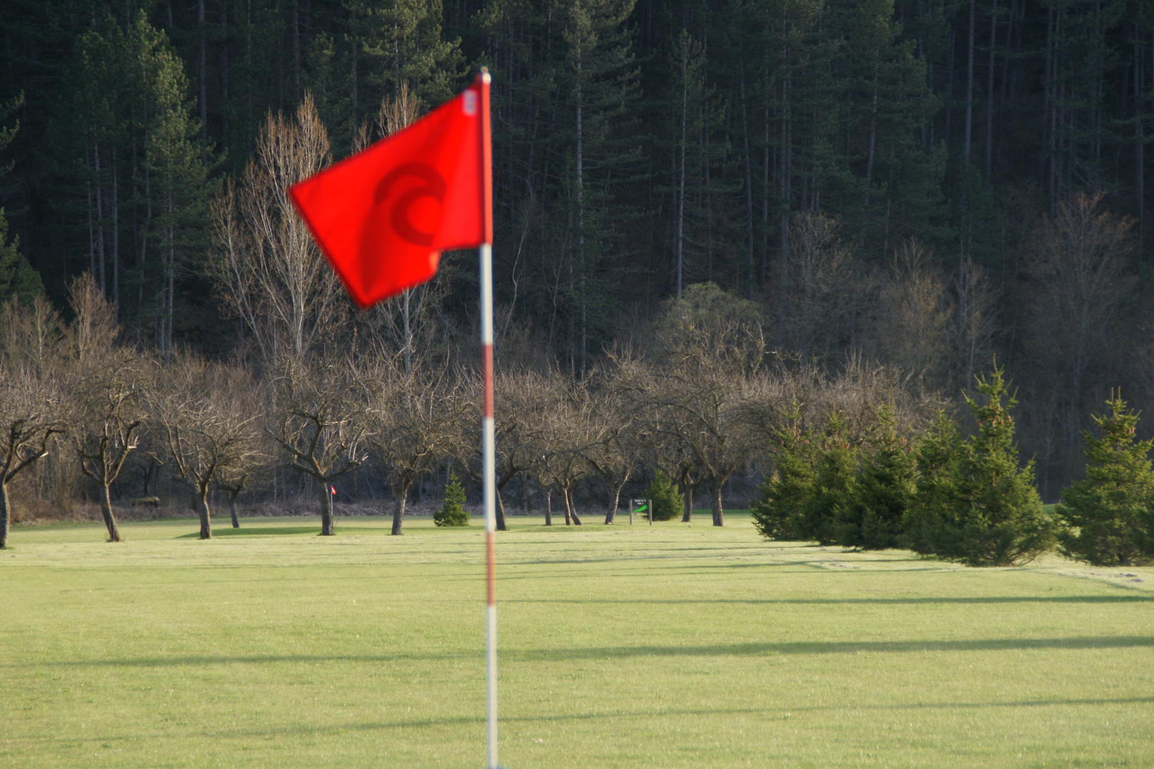 Le Golf de la Pommeraie : un rendez-vous champêtre !
